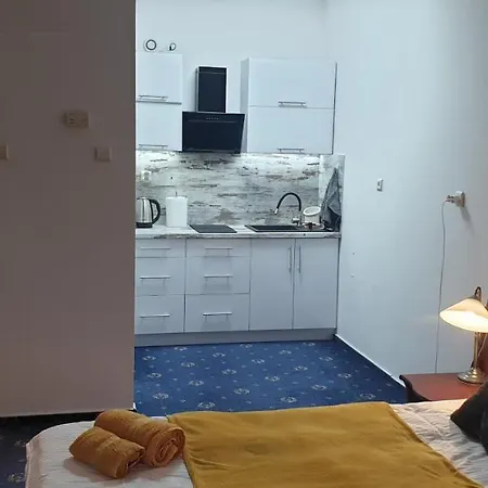 M-apartamenty W Hotelu Polonia מלון דירות קולובז'ג